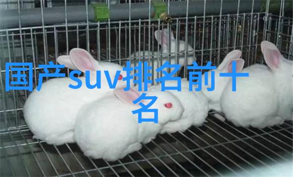 简易理发教程DIY美发技巧让你自在风采