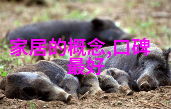 简易半扎半披发型-轻松时尚如何一学就会的美发技巧