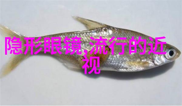 剪发技巧基础手法掌握要诀