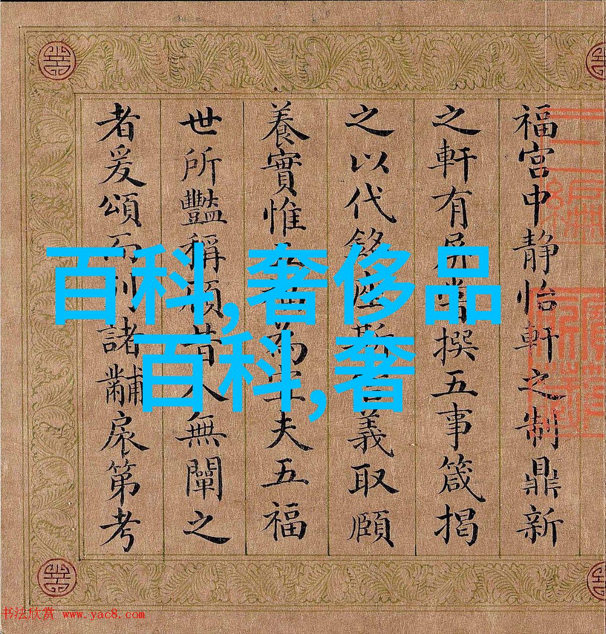 50岁女士适合的时尚发型中长直发造型精致分 volumes