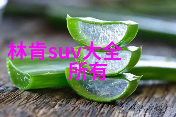 勒芒24小时耐力赛机遇与挑战的交汇点