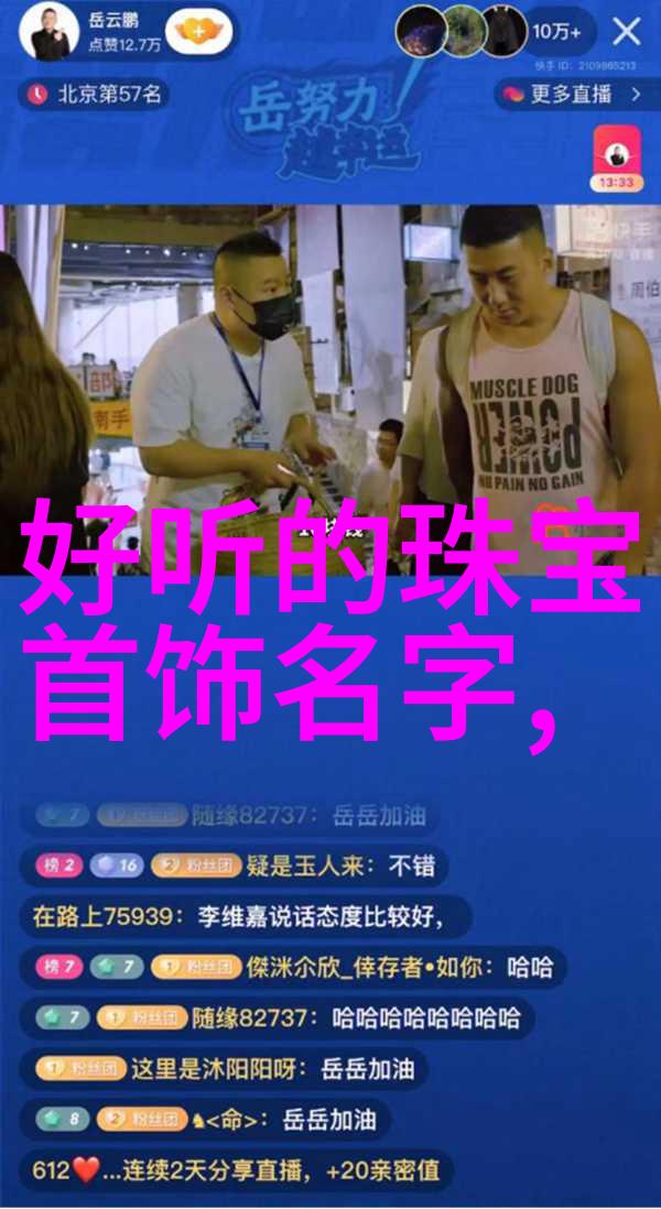 时尚珠宝杂志我的奢华梦想搭配指南
