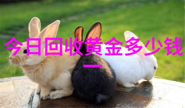 小米的日记从1到15的成长与变迁
