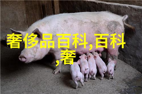 百度网盘里的家庭对话鄂州一家人的日常聊天录