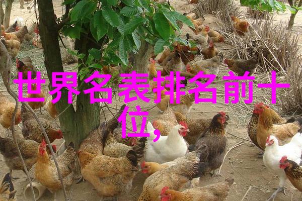 忍者龙剑传武藤兰的经典动作冒险游戏