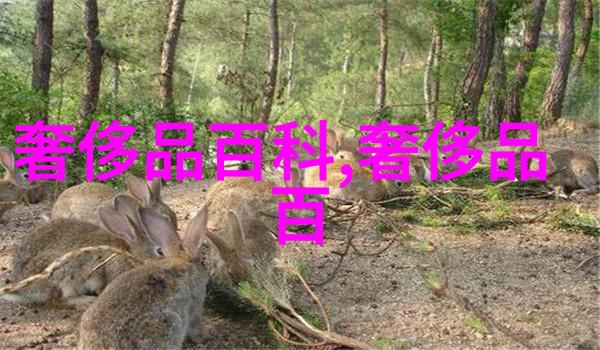 风度翩翩时尚男士的优雅气质