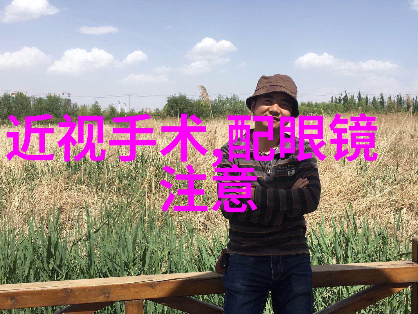 花语传说香水百合的绚烂篇章