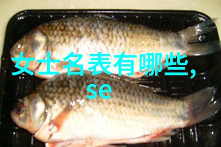 超级明星训练营系统化培养未来巨星的秘密基地