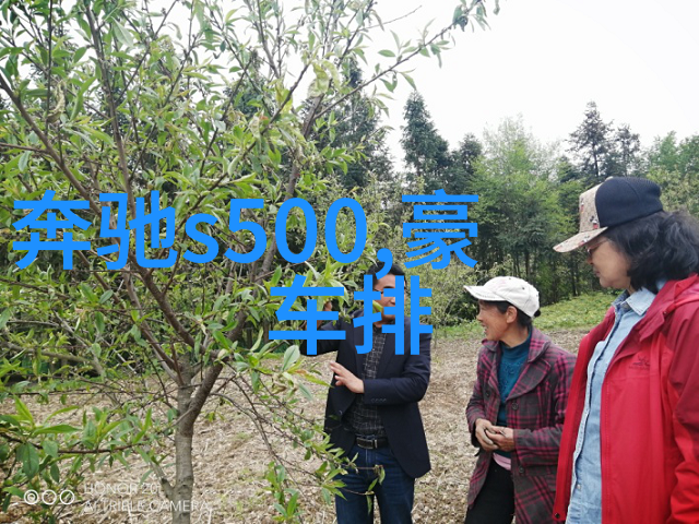 春季时尚指南皮衣搭配技巧与必备单品