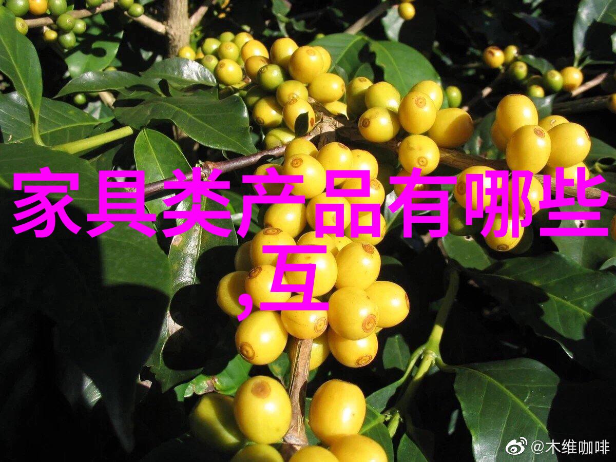 绽放柔情欧阳夏丹内衣贴身之选的温柔艺术