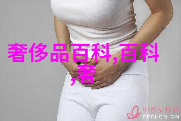 百度搜索引擎技术革新与信息时代的标志
