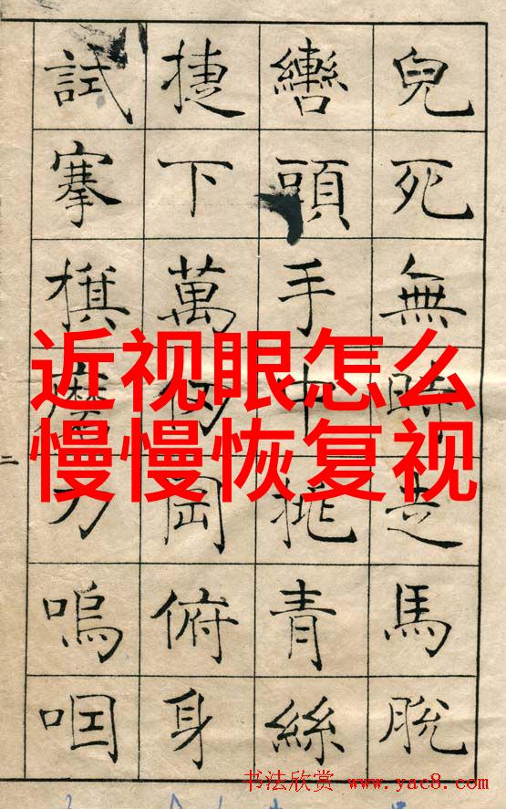 探索托德斯智慧与创新的交汇点