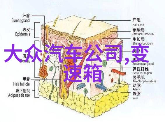一万块的表能换啥SwatchETA说要多发点机械心脏