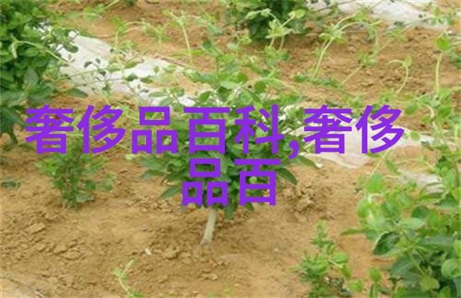 男士发型百态从经典到时尚的多样化选择
