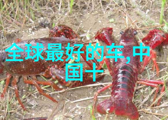 被穿书女配抢走男人后 - 逆袭之恋从替身到真命天子