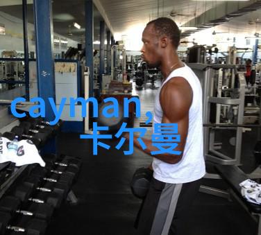 边城浪子风中的孤狼与月下的孤影