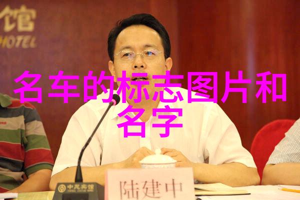 家庭的哀愁从哀家有了到心灵的慰藉