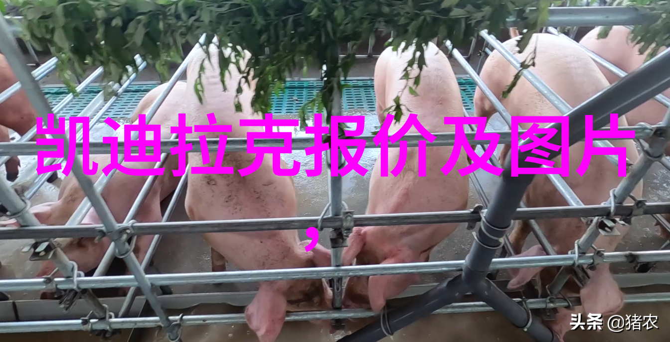 一二三四日本无吗哥斯拉-10山崎贵指挥的巨兽觉醒