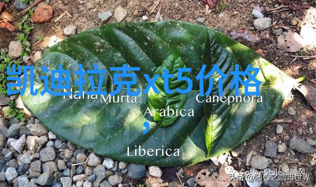 后院露营第一季的无变动奇迹