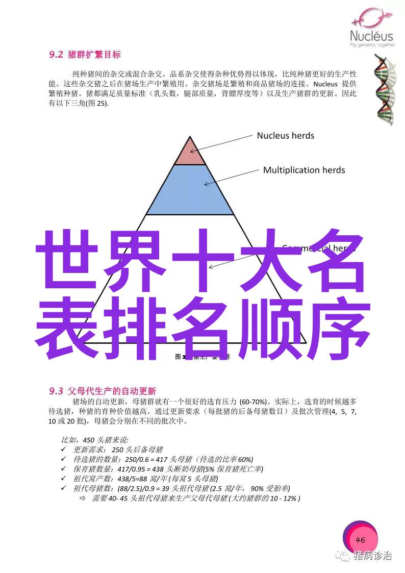 星光璀璨匪我思存穿越时空的回忆与梦想