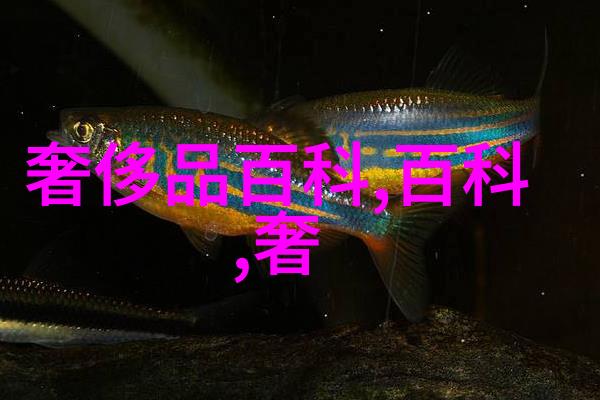 探秘神话世界遮天全文免费阅读指南