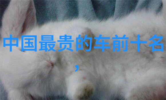 穿越成病娇师尊的掌中囚徒