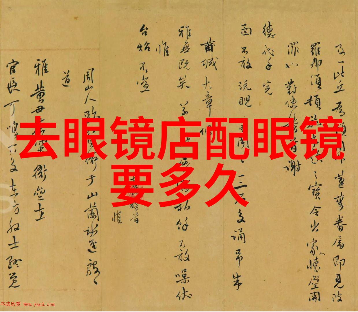 主题-bgmbgmbgm毛多多胖老太太的欢乐生活