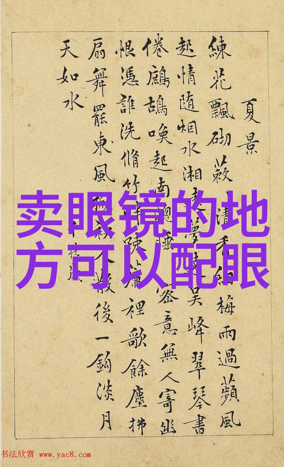 BL车车好快的速度惊人探秘高性能汽车世界