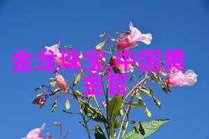 老婆跟风淘到这9件家居小物回家后发现很走心老妈每天都在夸