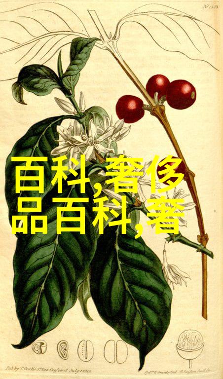 去闺蜜家聚餐看到她家的懒人沙发回家直接买了第5款
