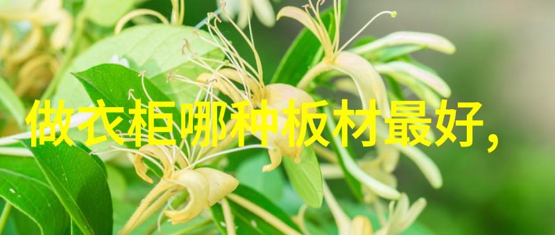 春夏时尚新趋势轻盈短发造型引领风向
