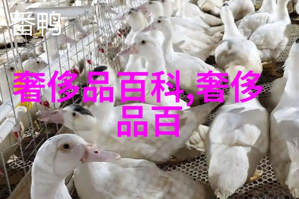 北大风云李敖演讲背后的约谈与自由之声的沉默
