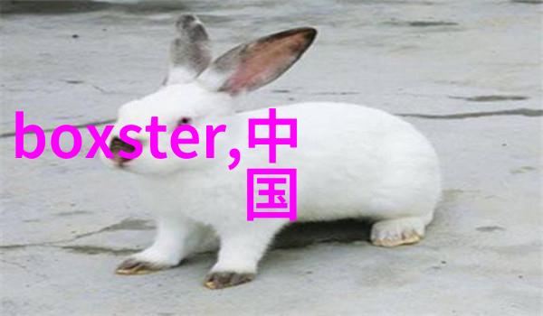 科技与创新-托德斯智慧驱动的未来家居解决方案
