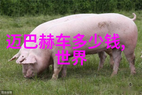 女扮男装的电影跨性别经历在银幕上的展现