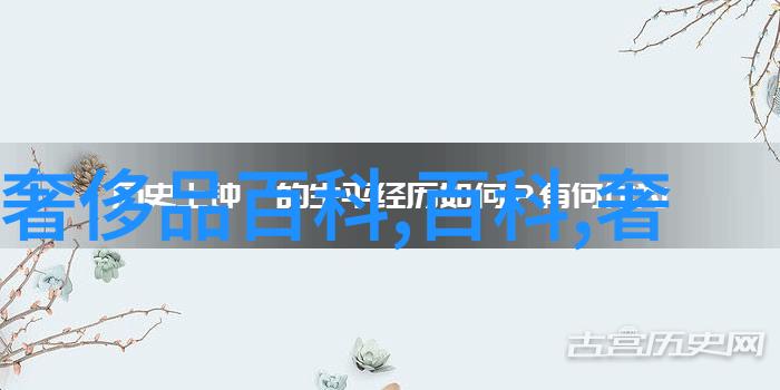 最奢华的私人游艇 让你在海上自由翱翔