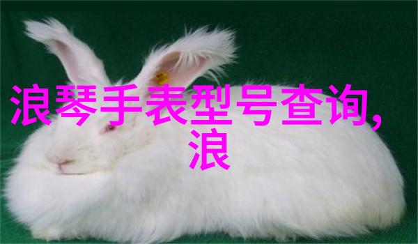 时尚衣帽间魔镜中的时尚奇遇