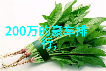 时尚小个子男生服装搭配指南适合身高挑战者的穿衣技巧