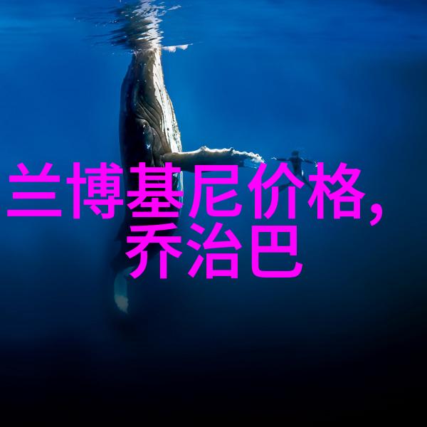 衣邦人穿越千年秘密的纹章
