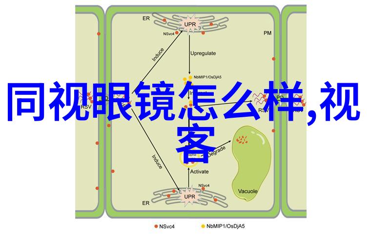 五十岁美女的时尚选择适合50岁女士的最佳发型烫造型