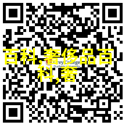 老太太的虚拟私人服务器VPSWINDOWS45与她的数字世界