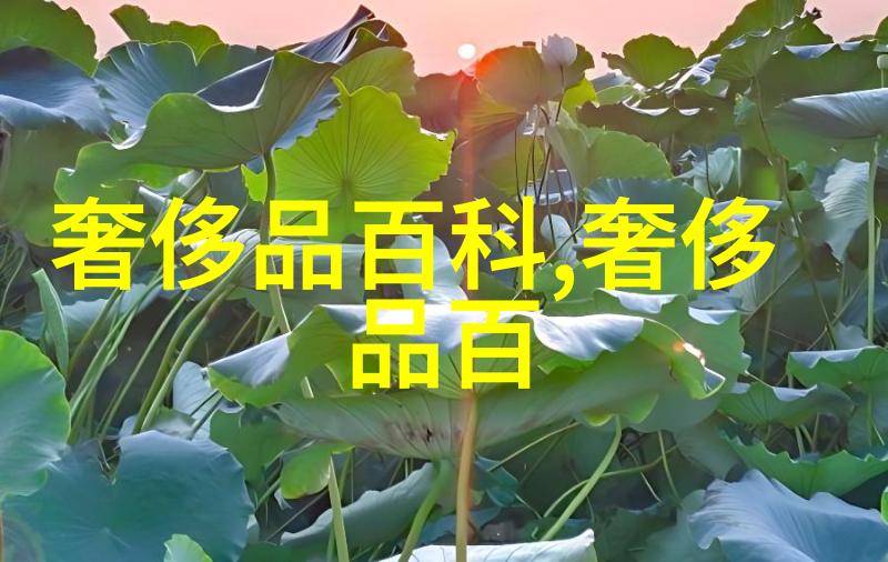 从零到英雄一步步教你如何安装和使用4399游戏盒
