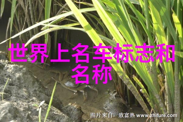 男士发型的种类从经典到时尚的魅力探索
