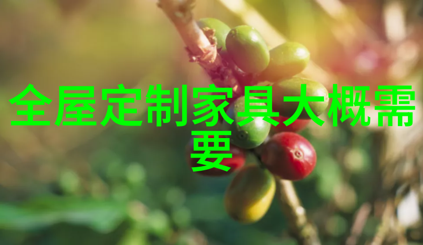 视界无限探索智能双眼镜的未来世界