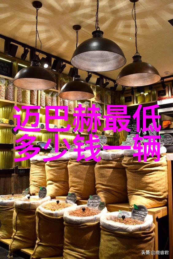 炒锅王者的烹饪艺术探索厨艺的巅峰