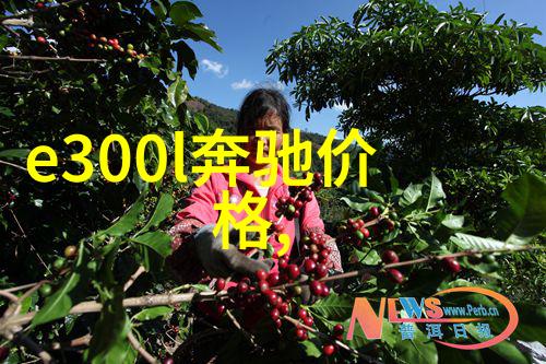 未来世界新纪元的启航