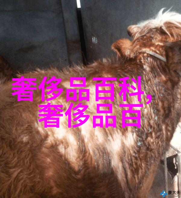 集三千年漆艺大成的小巧柜盒精致如同微型博物馆承载着古老的智慧与现代的魅力