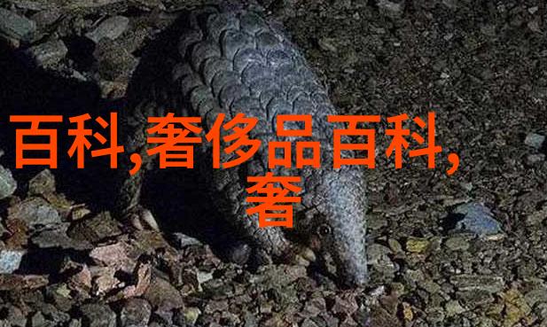 劳动社会部我的2008年3月号社保福利新政来了你准备好了吗