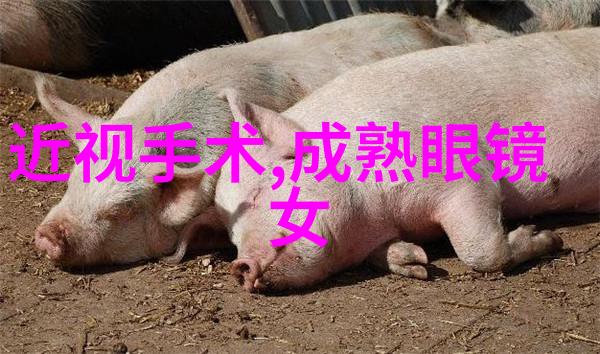 欢腾鞋我的舞台之足