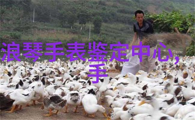 家庭空间有限时怎样安排好每一件家具