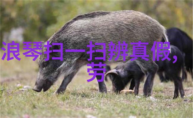 你还活着呀探索生命的意义与存在